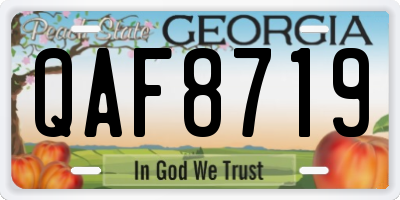 GA license plate QAF8719