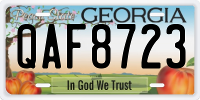 GA license plate QAF8723