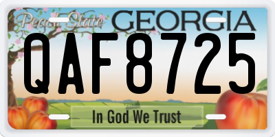 GA license plate QAF8725
