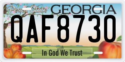 GA license plate QAF8730