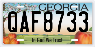 GA license plate QAF8733