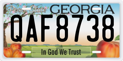 GA license plate QAF8738