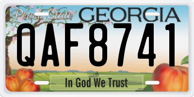 GA license plate QAF8741