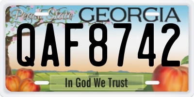 GA license plate QAF8742