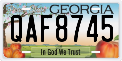 GA license plate QAF8745