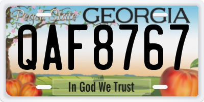 GA license plate QAF8767