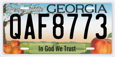 GA license plate QAF8773