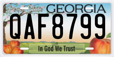 GA license plate QAF8799
