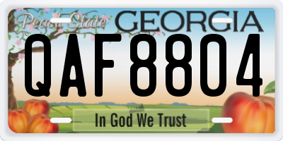 GA license plate QAF8804
