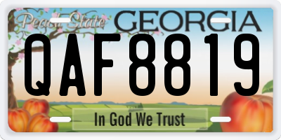 GA license plate QAF8819
