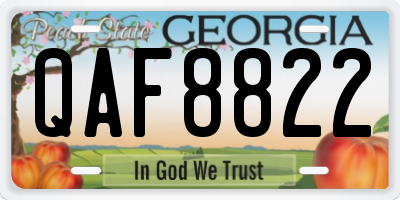 GA license plate QAF8822