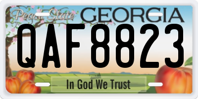 GA license plate QAF8823