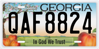 GA license plate QAF8824