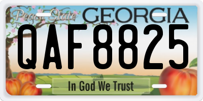 GA license plate QAF8825