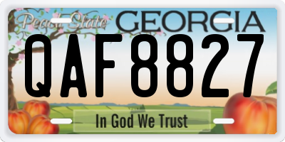 GA license plate QAF8827