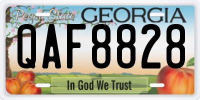 GA license plate QAF8828