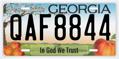 GA license plate QAF8844