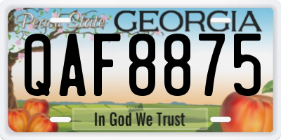 GA license plate QAF8875