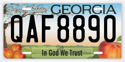 GA license plate QAF8890