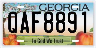 GA license plate QAF8891