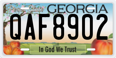 GA license plate QAF8902