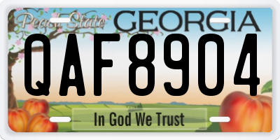 GA license plate QAF8904