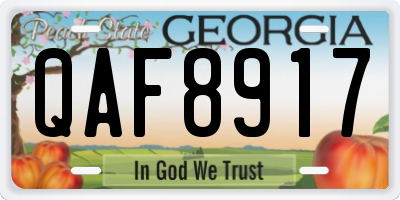 GA license plate QAF8917