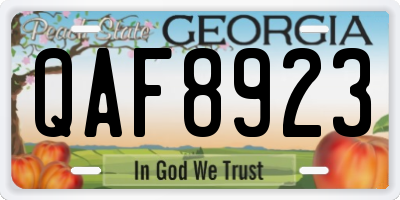 GA license plate QAF8923