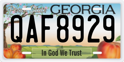 GA license plate QAF8929