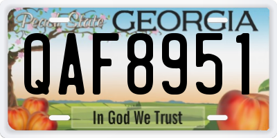 GA license plate QAF8951