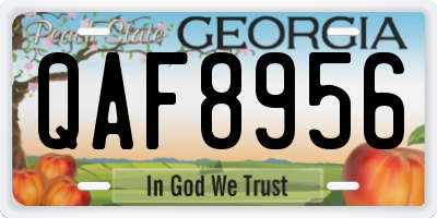 GA license plate QAF8956