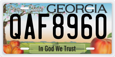 GA license plate QAF8960