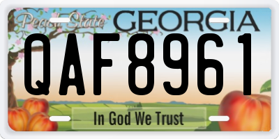 GA license plate QAF8961
