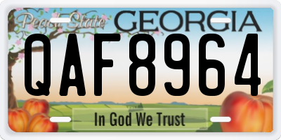 GA license plate QAF8964