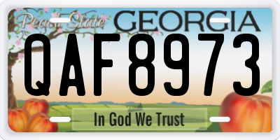 GA license plate QAF8973