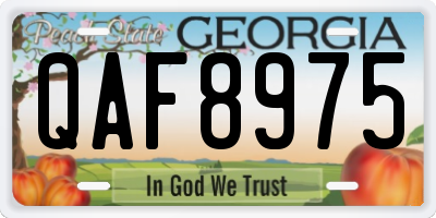 GA license plate QAF8975