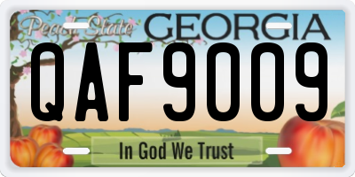 GA license plate QAF9009