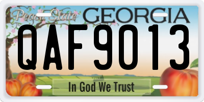 GA license plate QAF9013