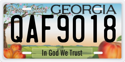 GA license plate QAF9018