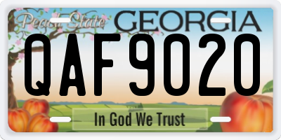 GA license plate QAF9020