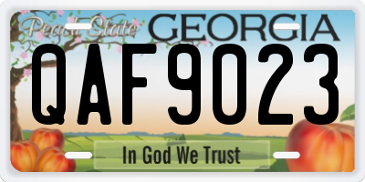 GA license plate QAF9023