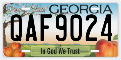 GA license plate QAF9024
