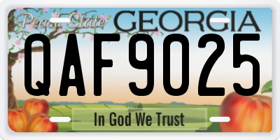 GA license plate QAF9025