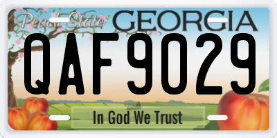GA license plate QAF9029