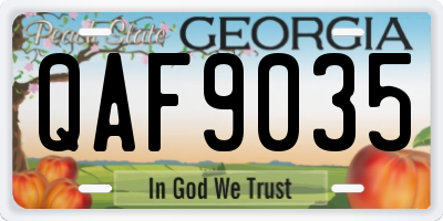 GA license plate QAF9035