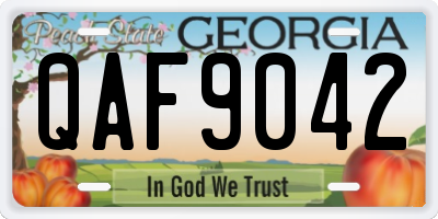 GA license plate QAF9042
