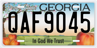 GA license plate QAF9045