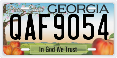 GA license plate QAF9054
