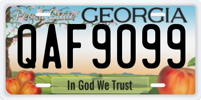 GA license plate QAF9099