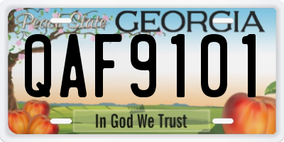 GA license plate QAF9101